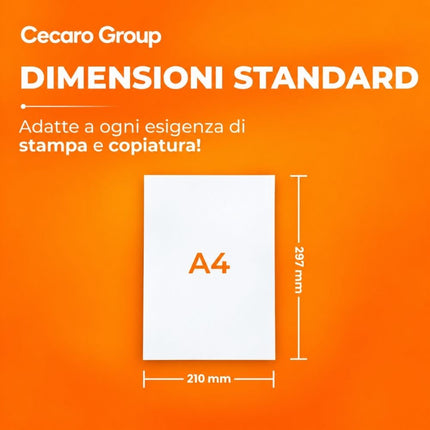 50405657