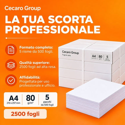 50405651