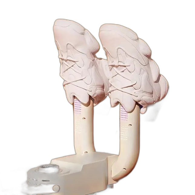 Asciugatrice per Scarpe Elettrica